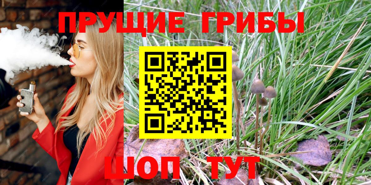купить наркотик  Псилоцибиновые грибы Cubensis  Вход с VPN  Кореновск  Псилоцибиновые грибы прущие грибы 